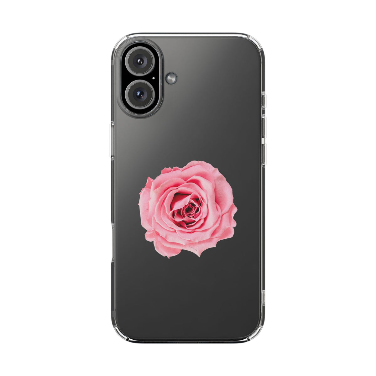 Beautiful Single Isolated Pink Rose - casetinger