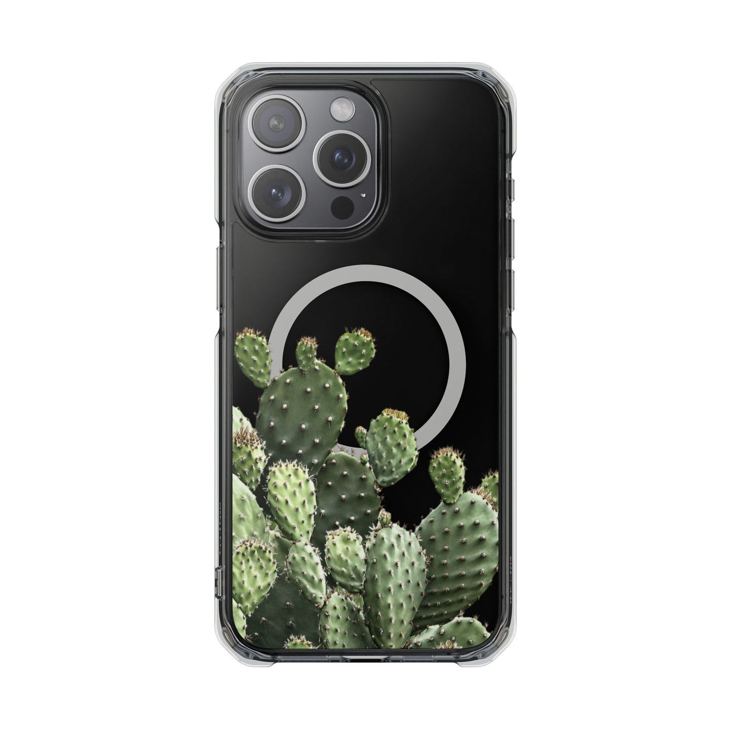 Cactus - Magnetic