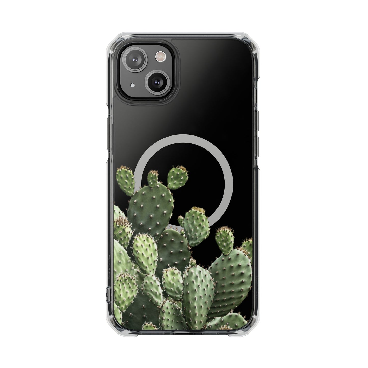 Cactus - Magnetic