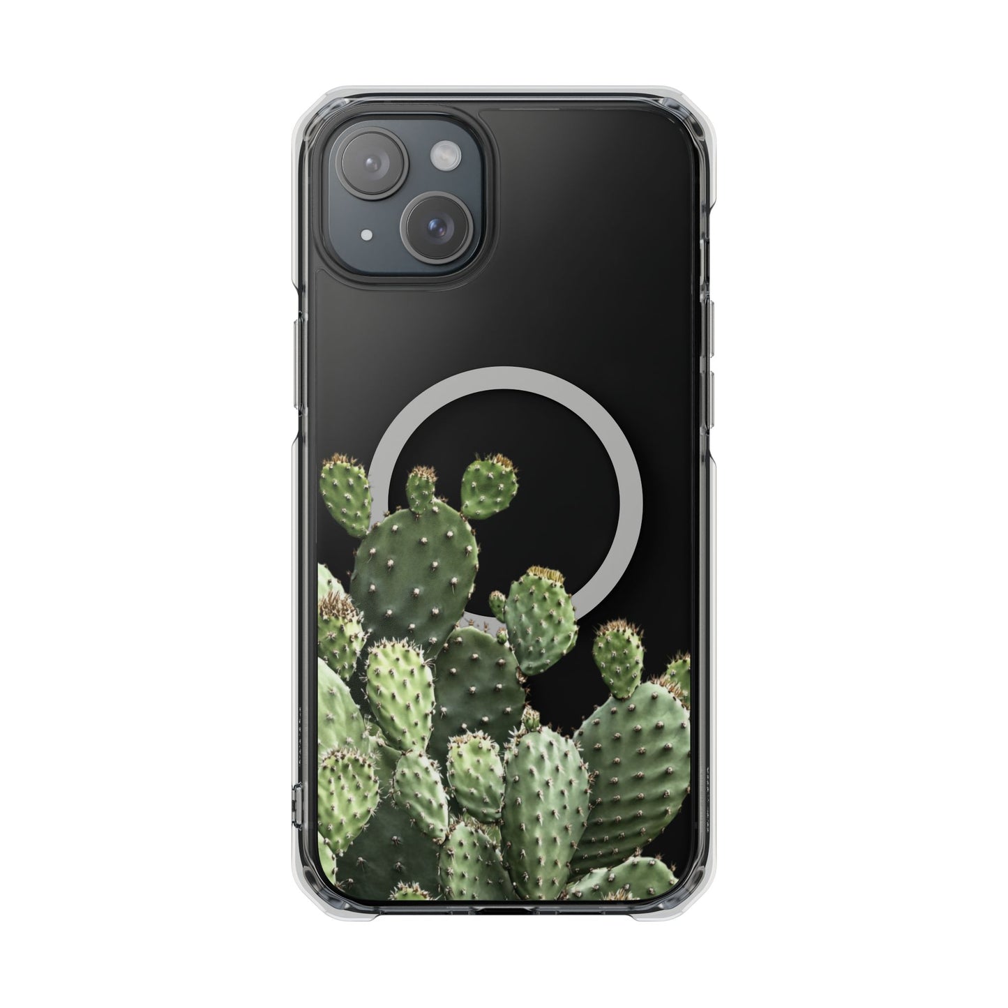 Cactus - Magnetic