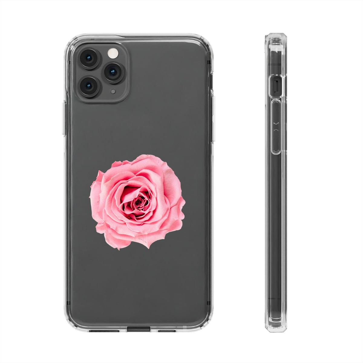 Beautiful Single Isolated Pink Rose - casetinger