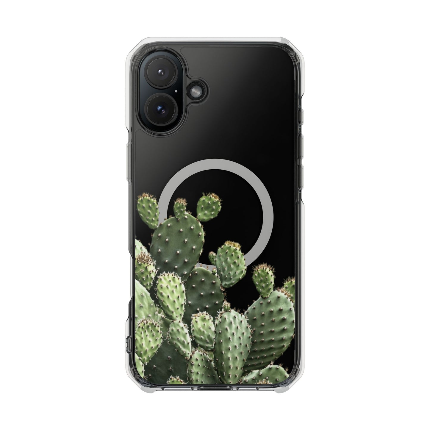 Cactus - Magnetic