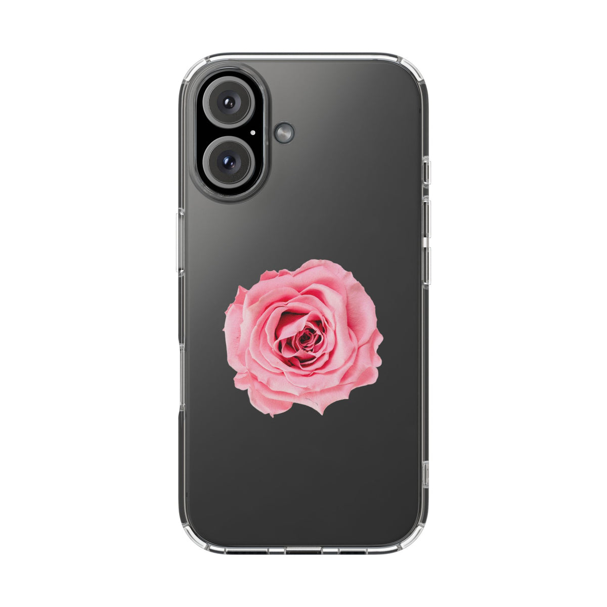 Beautiful Single Isolated Pink Rose - casetinger