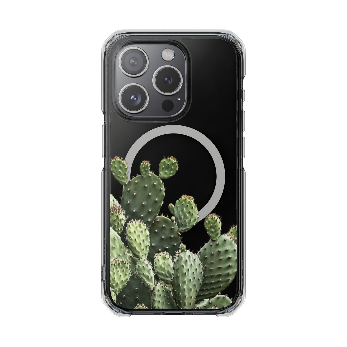 Cactus - Magnetic