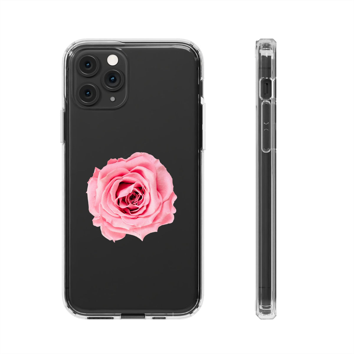 Beautiful Single Isolated Pink Rose - casetinger