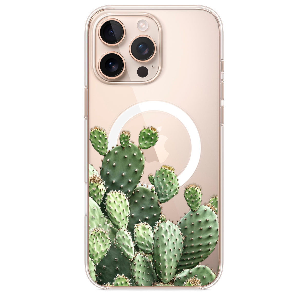 Cactus - Magnetic - casetinger