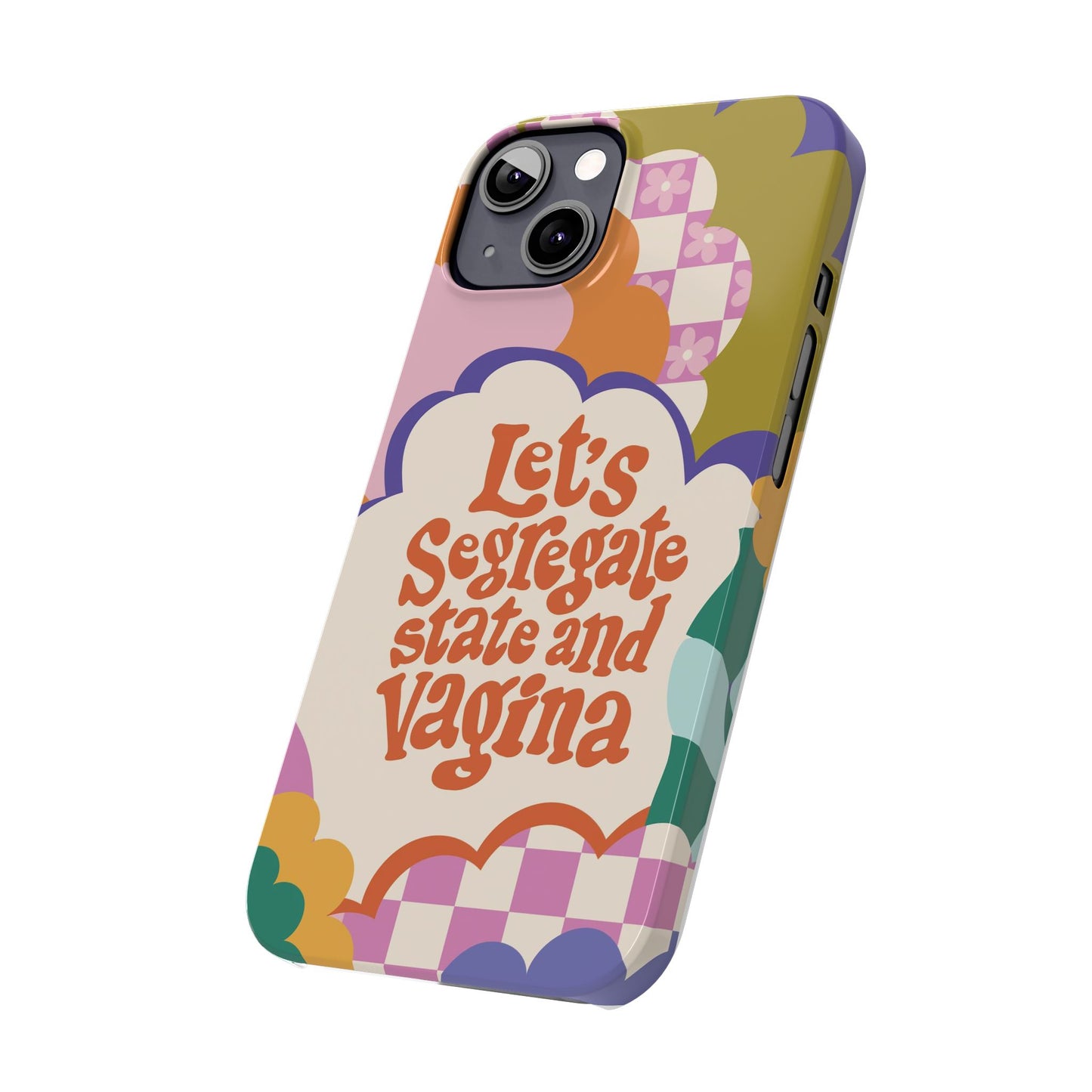 Lets segregate state and vagina feminist iphone case