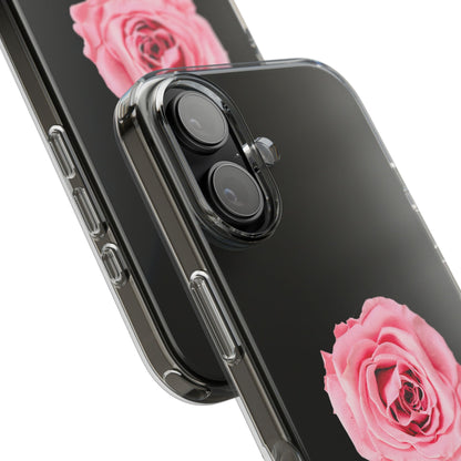 Beautiful Single Isolated Pink Rose