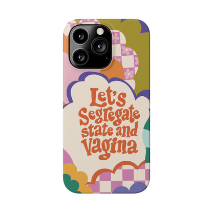 Lets segregate state and vagina feminist iphone case