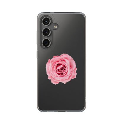 Beautiful Single Isolated Pink Rose