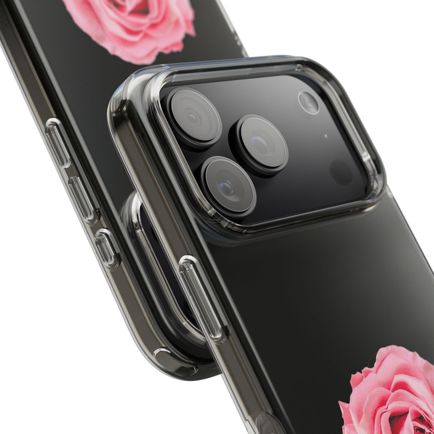 Beautiful Single Isolated Pink Rose