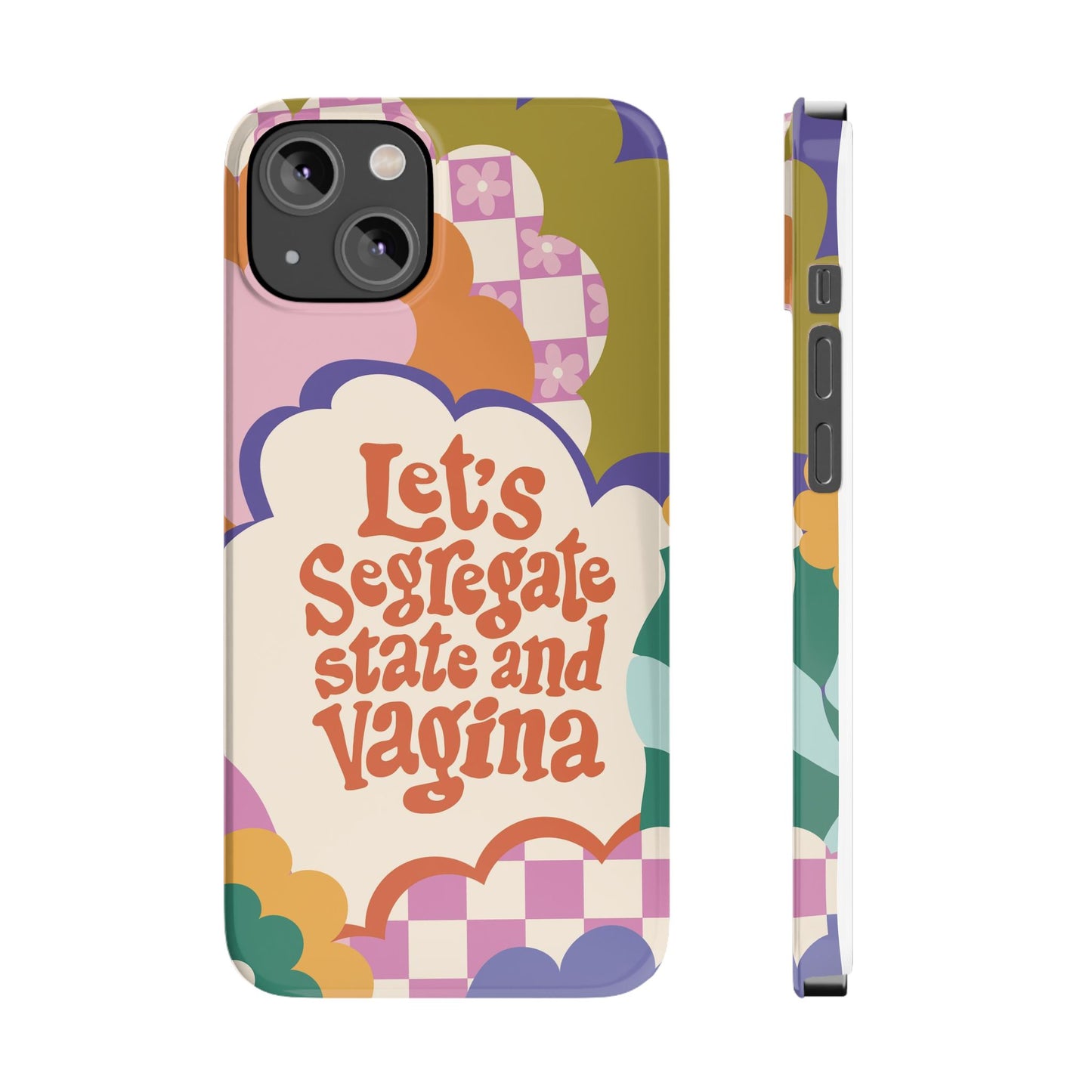 Lets segregate state and vagina feminist iphone case