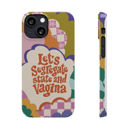 Lets segregate state and vagina feminist iphone case