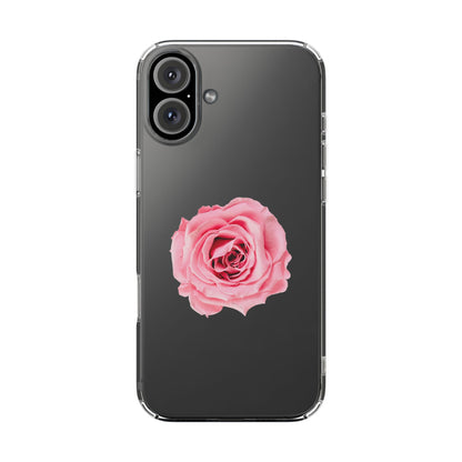 Beautiful Single Isolated Pink Rose