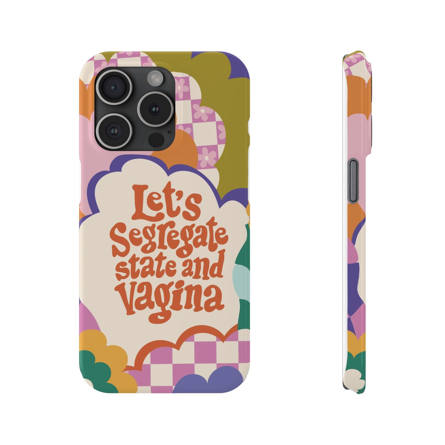 Lets segregate state and vagina feminist iphone case