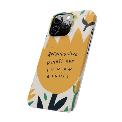 Reproductive rights are human rights feminist phone case