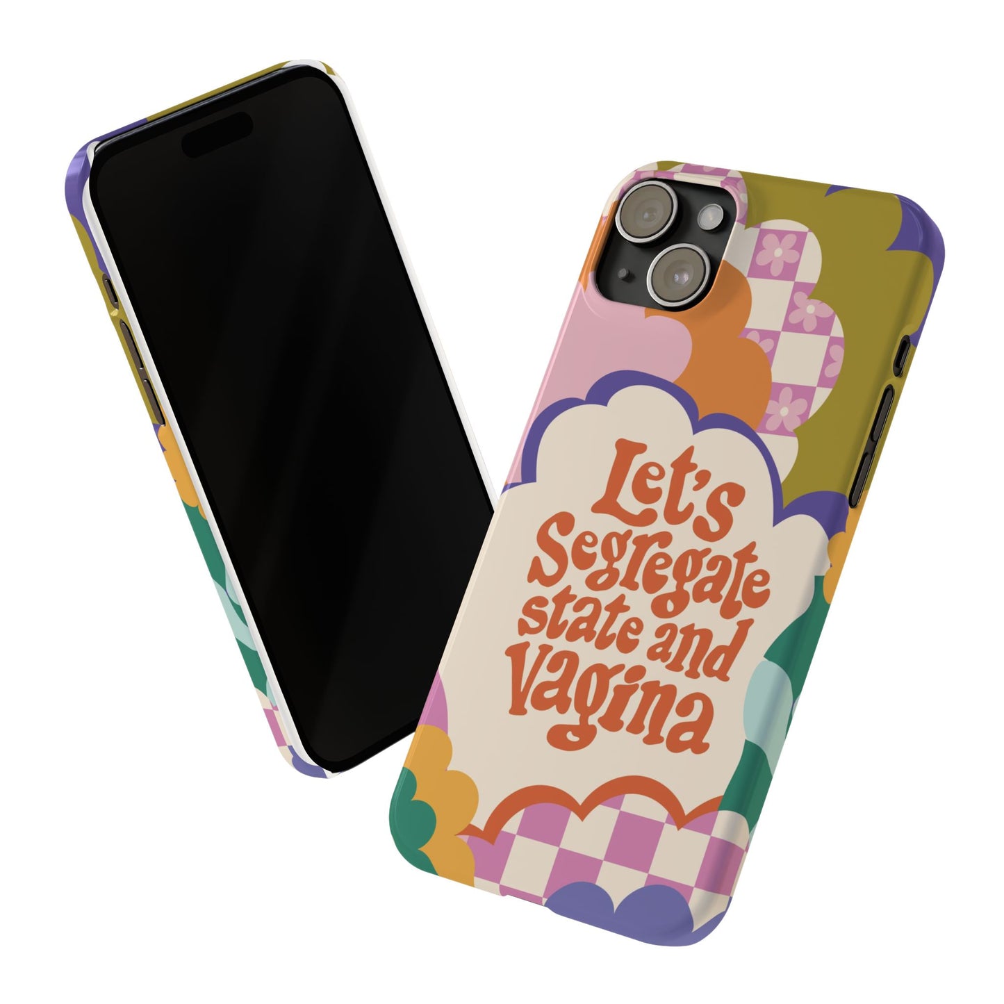 Lets segregate state and vagina feminist iphone case