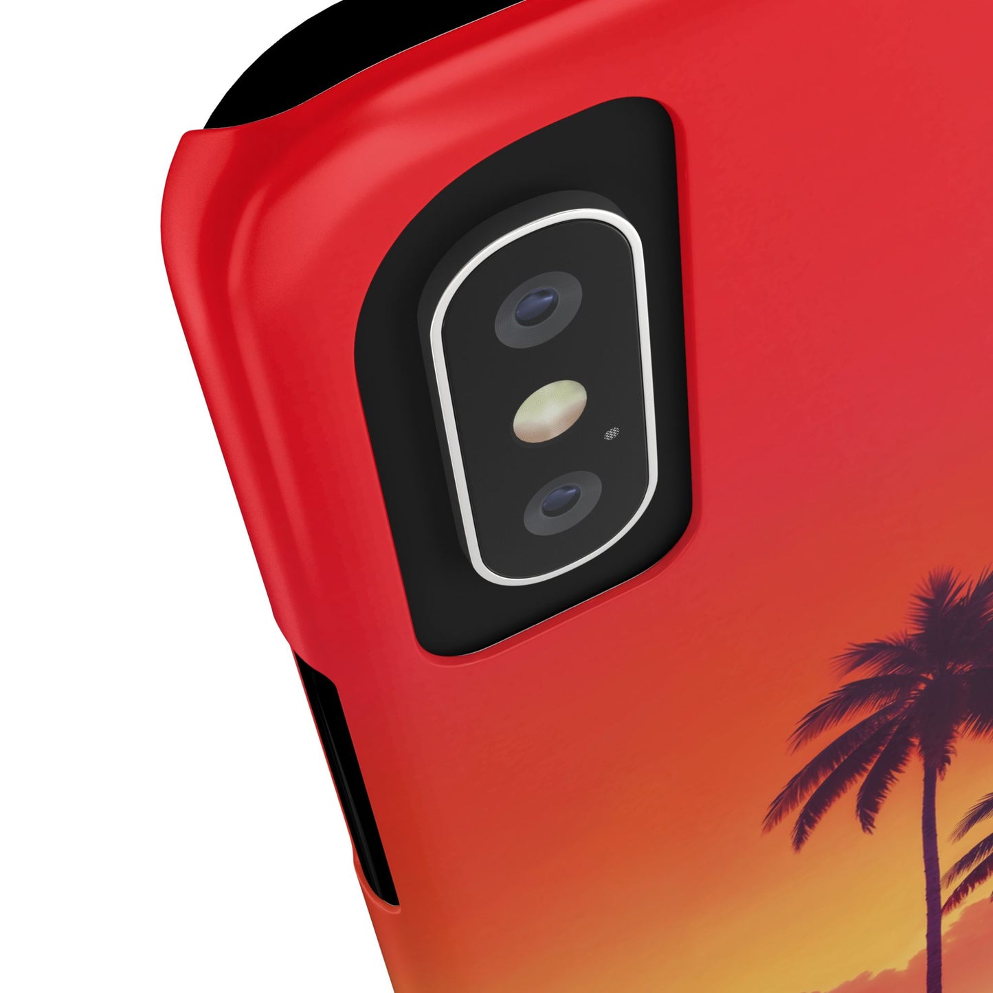 Miami sunset Vibes Palm