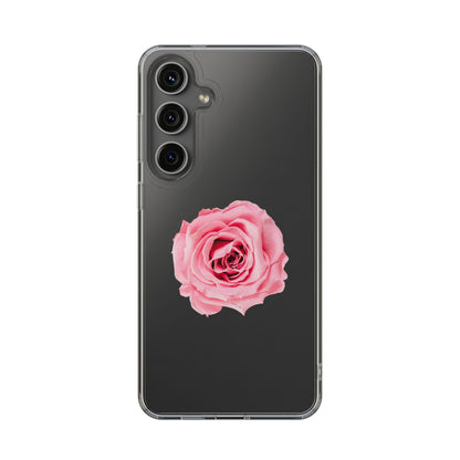 Beautiful Single Isolated Pink Rose