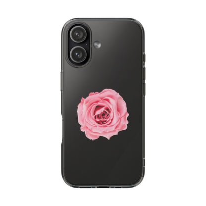 Beautiful Single Isolated Pink Rose