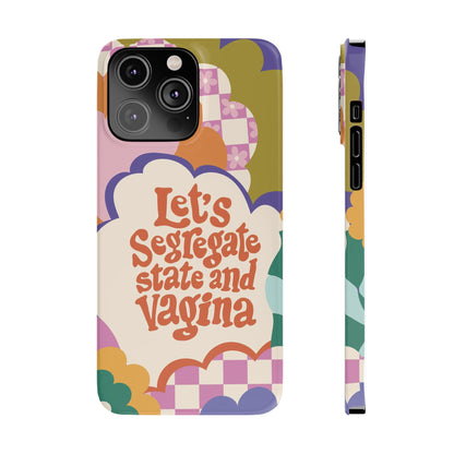 Lets segregate state and vagina feminist iphone case