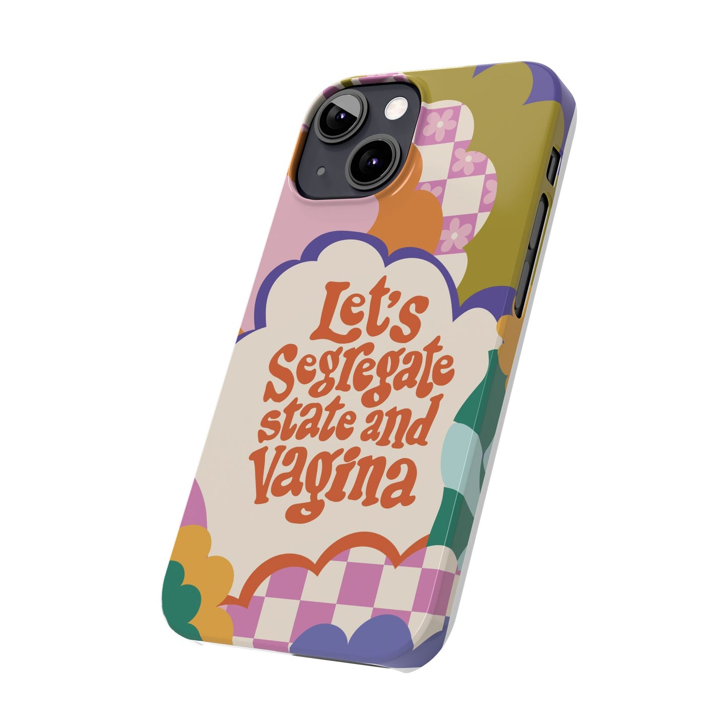 Lets segregate state and vagina feminist iphone case