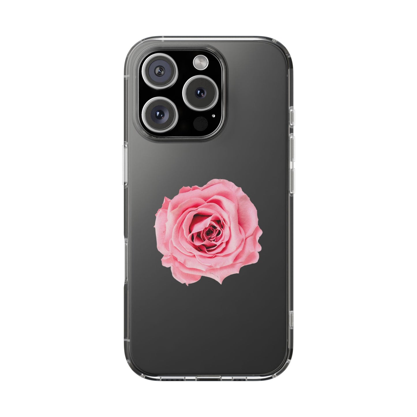 Beautiful Single Isolated Pink Rose