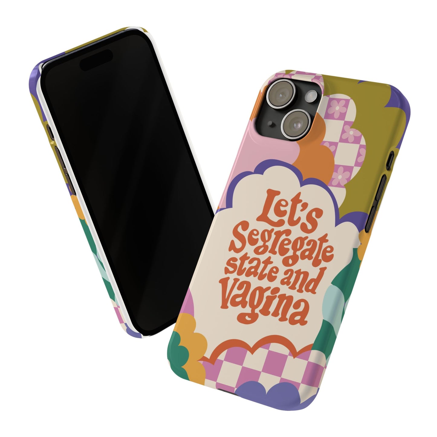 Lets segregate state and vagina feminist iphone case