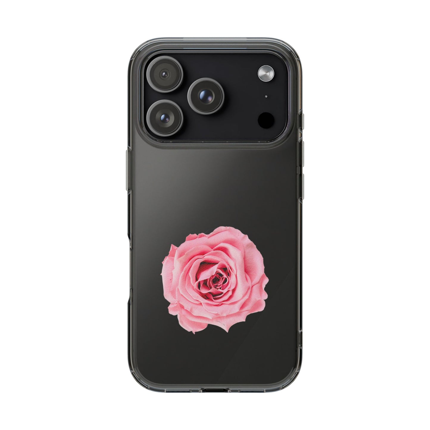 Beautiful Single Isolated Pink Rose