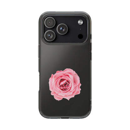 Beautiful Single Isolated Pink Rose