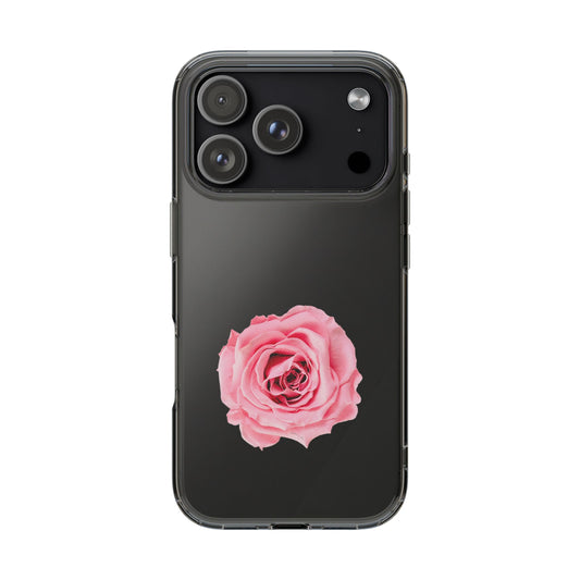 Beautiful Single Isolated Pink Rose