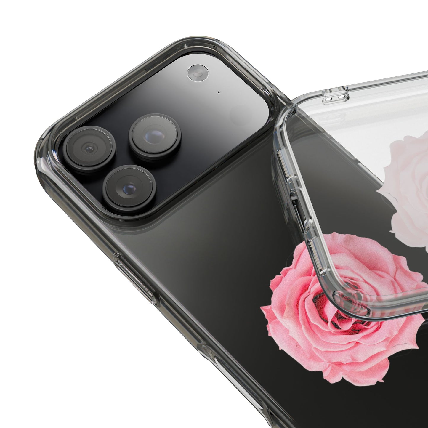 Beautiful Single Isolated Pink Rose