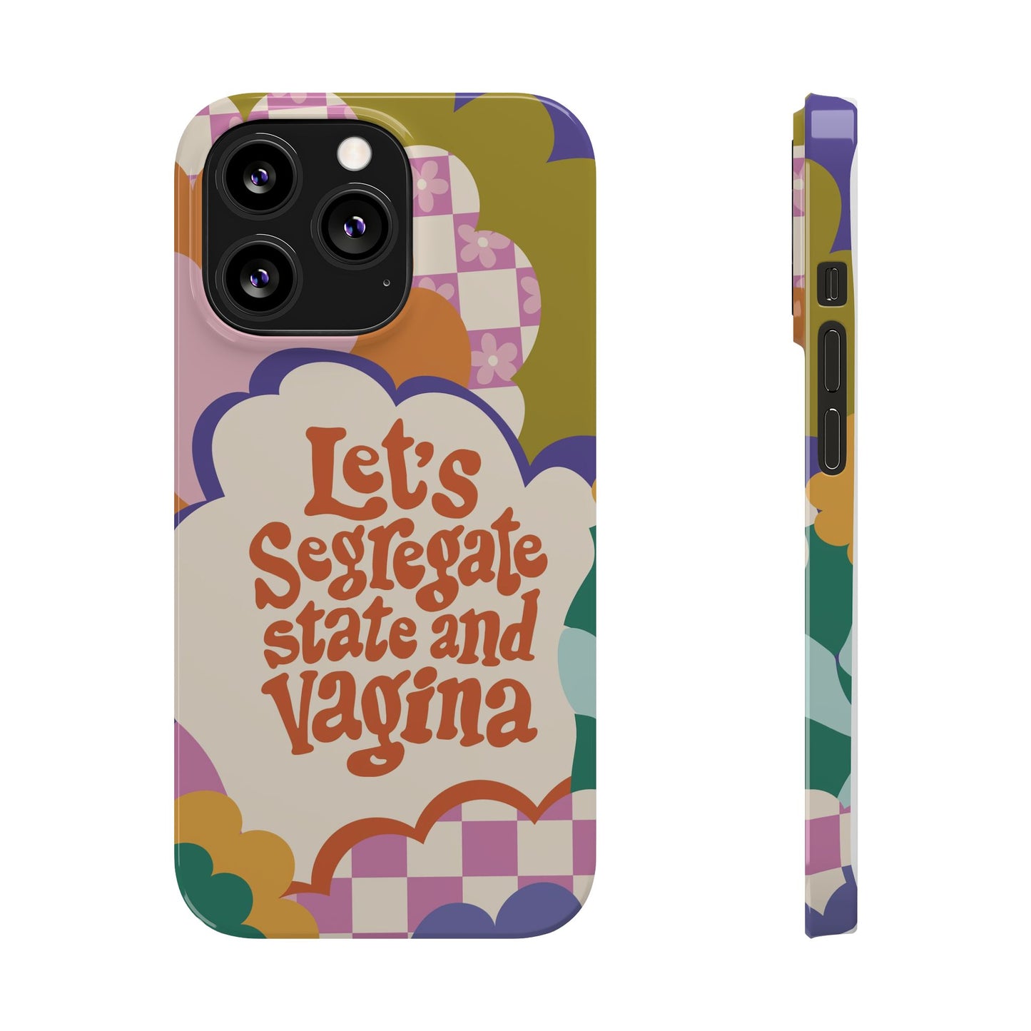 Lets segregate state and vagina feminist iphone case