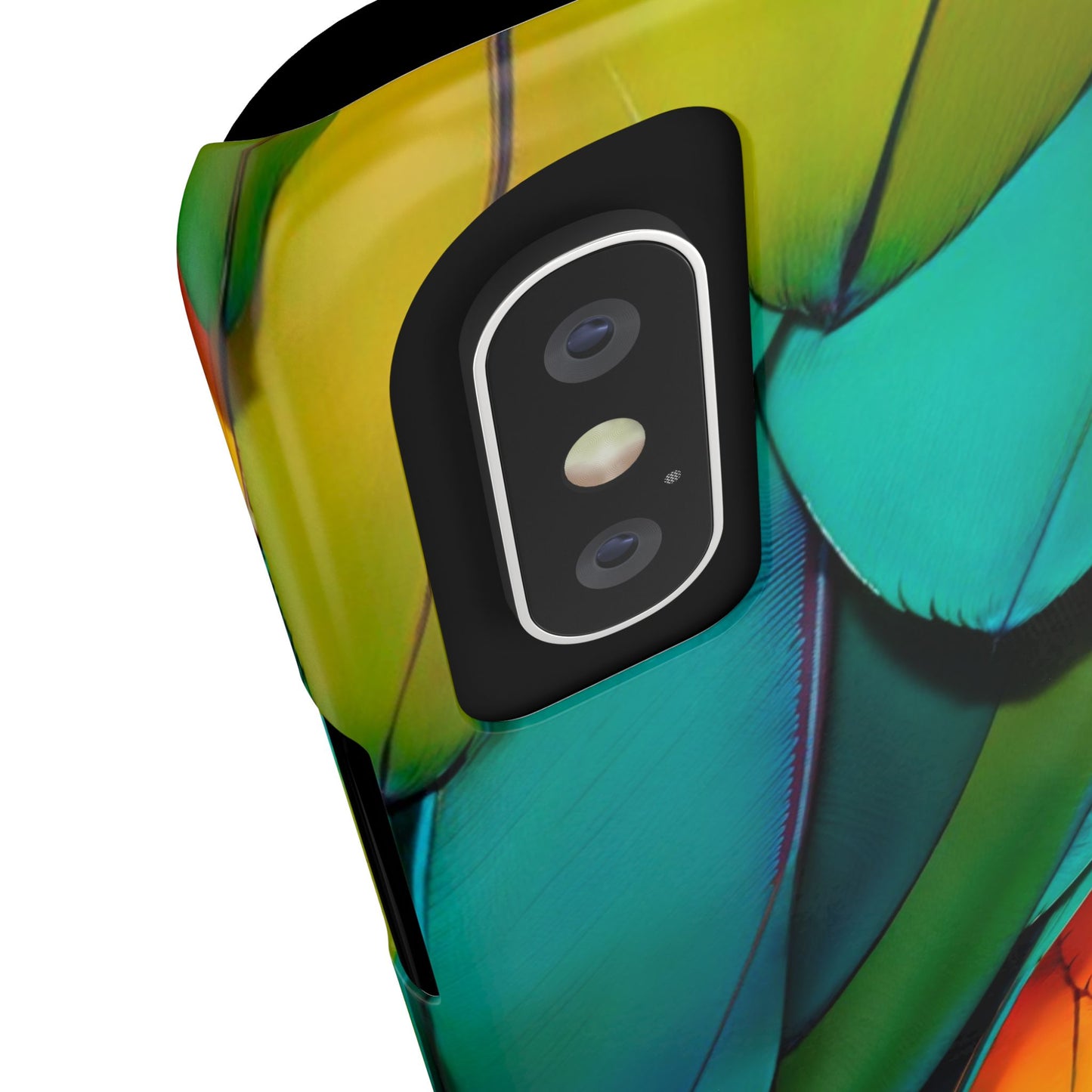 Vibrant parrot