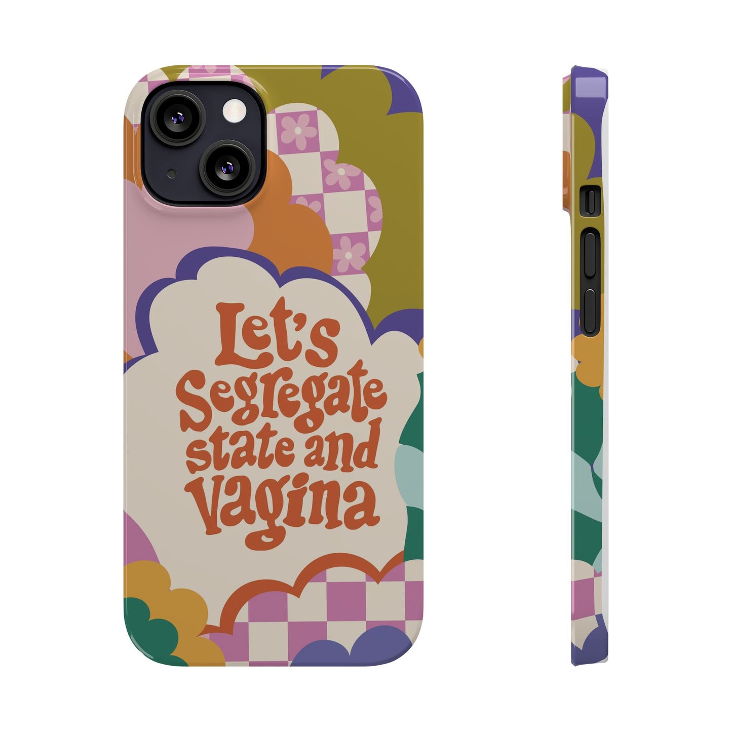 Lets segregate state and vagina feminist iphone case