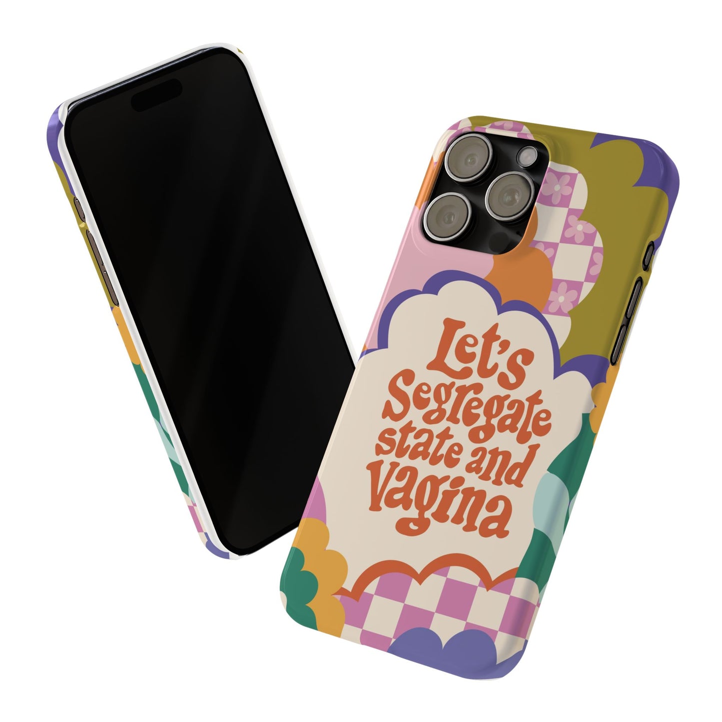 Lets segregate state and vagina feminist iphone case