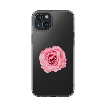 Beautiful Single Isolated Pink Rose