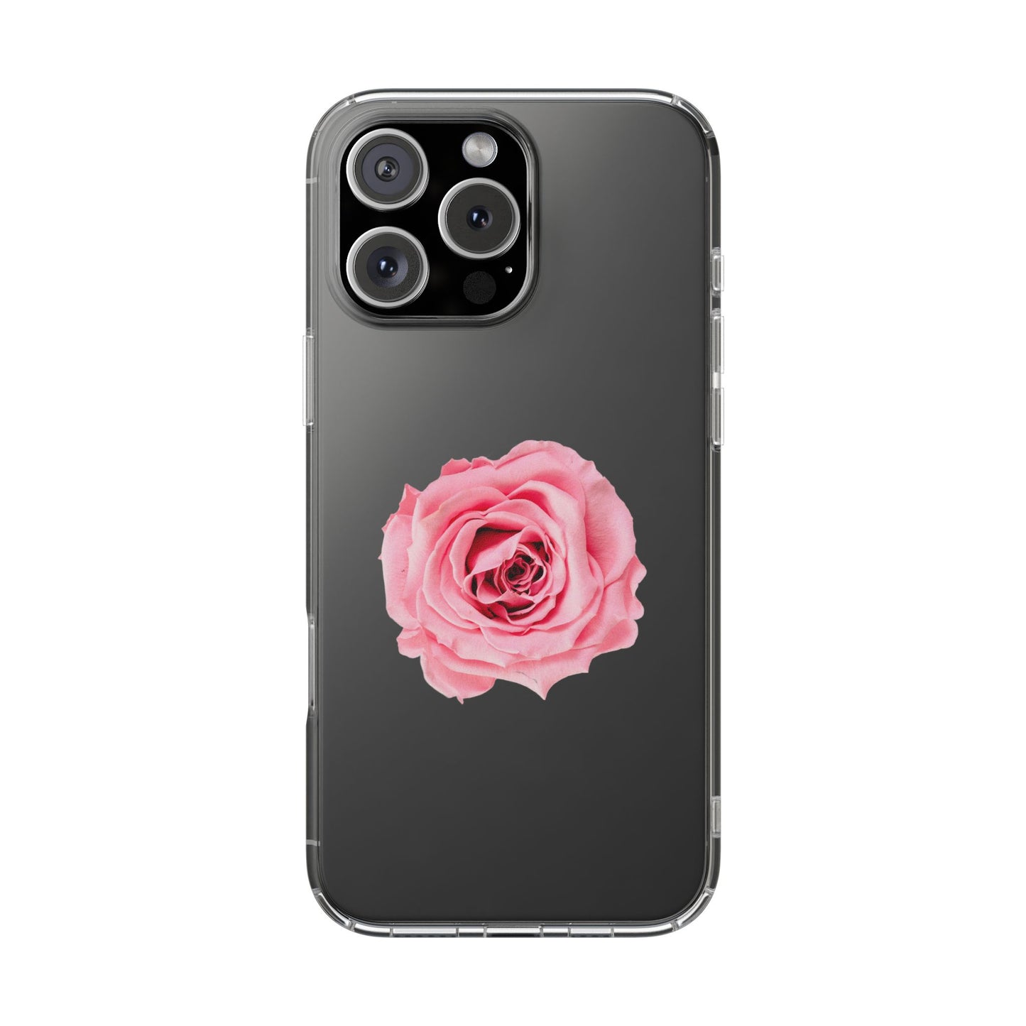 Beautiful Single Isolated Pink Rose