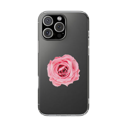 Beautiful Single Isolated Pink Rose