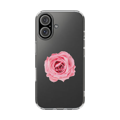 Beautiful Single Isolated Pink Rose