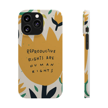 Reproductive rights are human rights feminist phone case