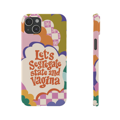 Lets segregate state and vagina feminist iphone case