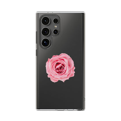 Beautiful Single Isolated Pink Rose