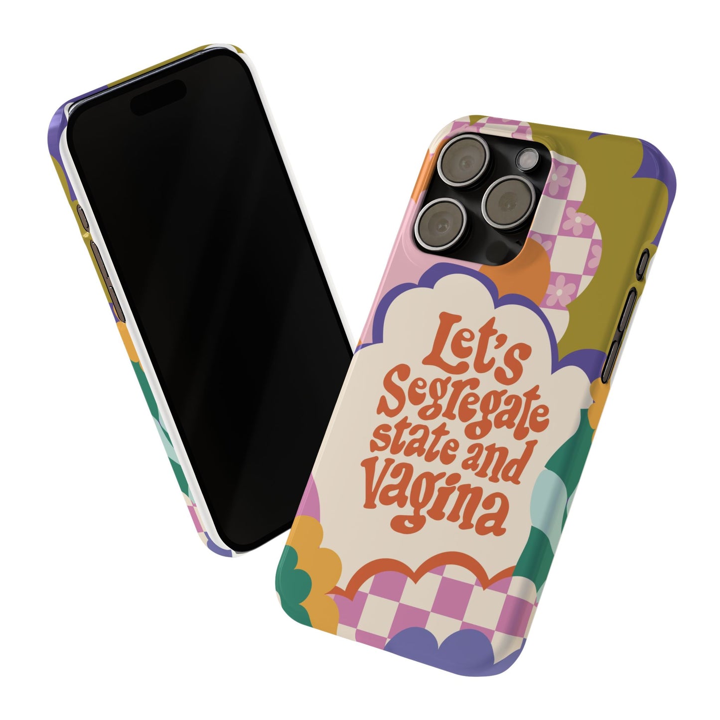 Lets segregate state and vagina feminist iphone case