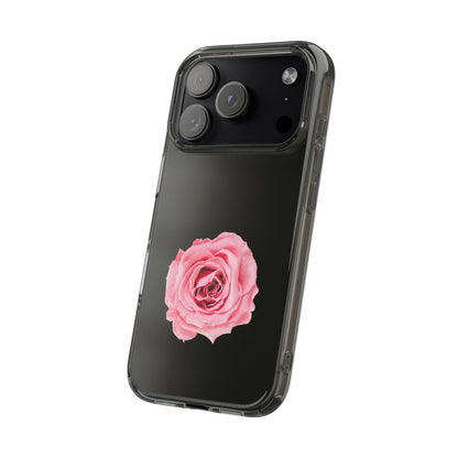 Beautiful Single Isolated Pink Rose